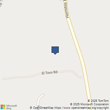 5 Acres - El Toro Road Catheys Valley, CA MLS# MP25009571