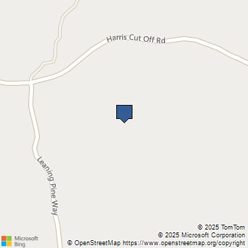 0 44.51 AC Leaning Pine Way Mariposa, CA MLS# FR25134643