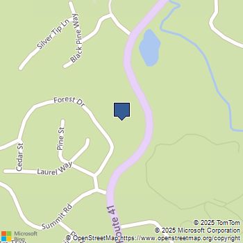 1151 Railroad Avenue Fish Camp, CA MLS# FR23117484