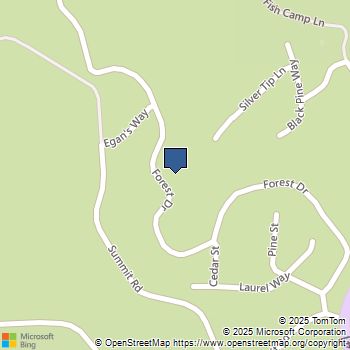 7649 Forest Drive Fish Camp, CA MLS# MP25018899