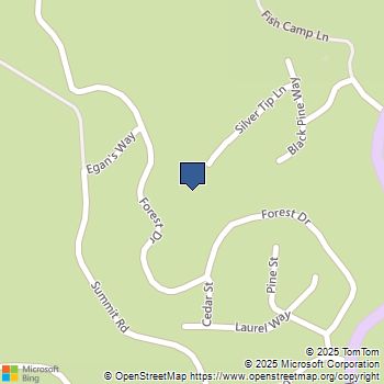 1153 Silver Tip Lane Fish Camp, CA MLS# FR25155912