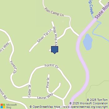 7743 Black Pine Way Fish Camp, CA MLS# FR23222572