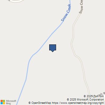 3981 Snow Creek Road Mariposa, CA MLS# MP25188243