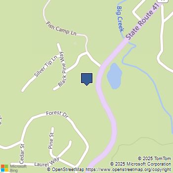 1174 Railroad Lane Fish Camp, CA MLS# FR25142909