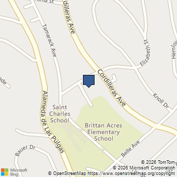 807 Rutherdale Avenue San Carlos, CA MLS# ML82046645