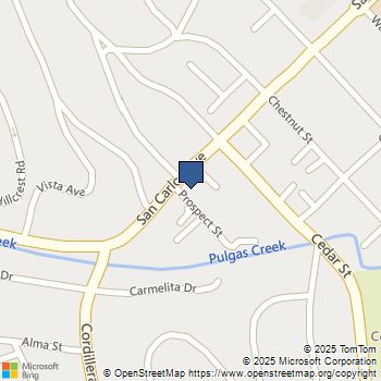 1667 San Carlos Avenue 101 San Carlos, CA MLS# ML82005489