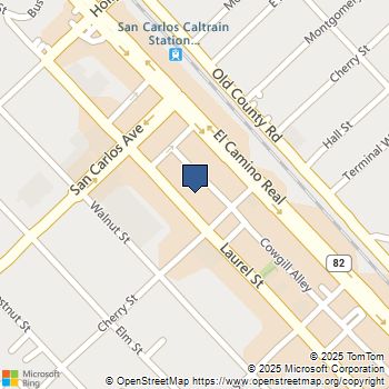 653 Laurel Street San Carlos, CA MLS# 250029273SD