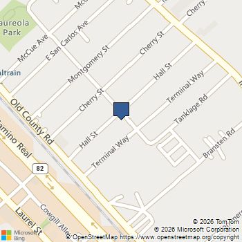 1005 Hall Street San Carlos, CA MLS# ML82059236