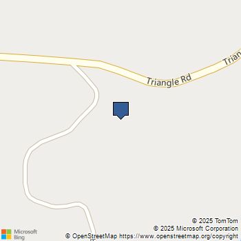 4053 Triangle Mariposa, CA MLS# MP25236178