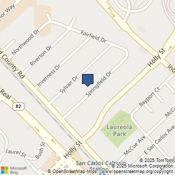 1024 Springfield Drive San Carlos, CA MLS# ML81993415