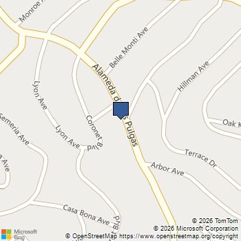 604 Alameda De Las Pulgas Belmont, CA MLS# ML82048277