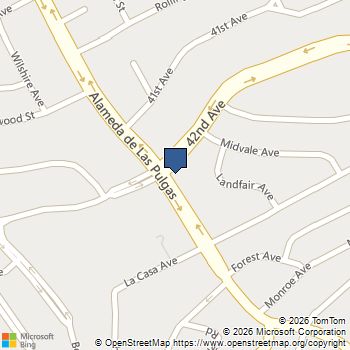 423 42nd Avenue San Mateo, CA MLS# ML82043124