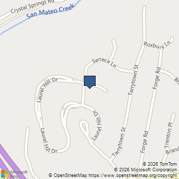 10 Laurel Hill Court San Mateo, CA MLS# ML82047272