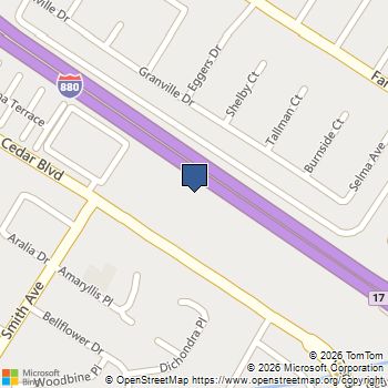 38439 Amaranto Street Newark, CA MLS# ML82044869