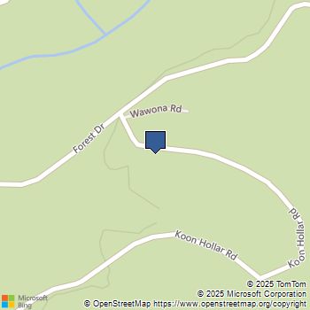 1 Koon Hollar Wawona, CA MLS# FR25095237