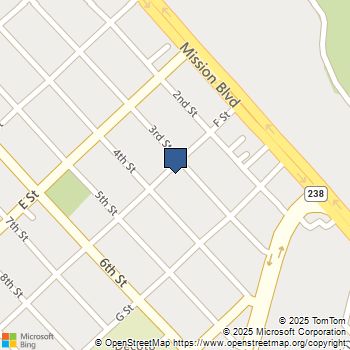 33603 3Rd St Union City, CA MLS# 41108375