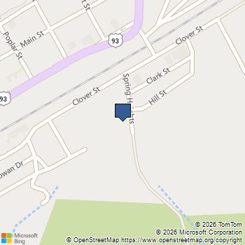 255 Spring Heights Caliente, NV MLS# 2762611