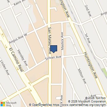 508 San Mateo Avenue San Bruno, CA MLS# ML82043361