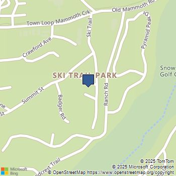 100 Ski Trail 42 Mammoth Lakes, CA MLS# TR25237965