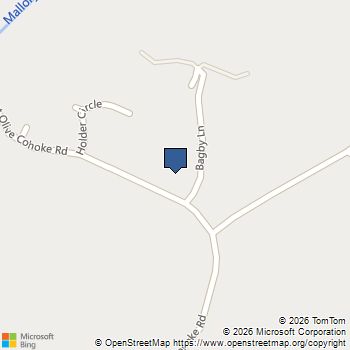 1979 Mount Olive Cohoke Road King William, VA MLS# 2509437