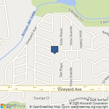 3263 Vineyard Ave #174 Pleasanton, CA MLS# 41095003