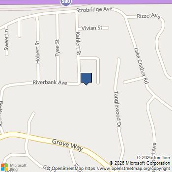 1933 Riverbank Castro Valley, CA MLS# 41118466