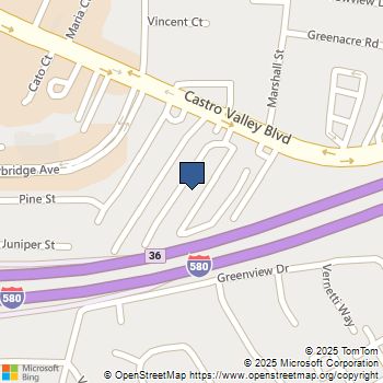 3913 Castro Valley Blvd. Castro Valley, CA MLS# 41112430