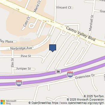 3875 Castro Valley Blvd Castro Valley, CA MLS# 41035862