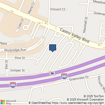 3875 Castro Valley Blvd Castro Valley, CA MLS# 41048745