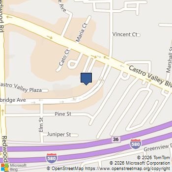 3810 Norbridge Avenue Castro Valley, CA MLS# ML82049875