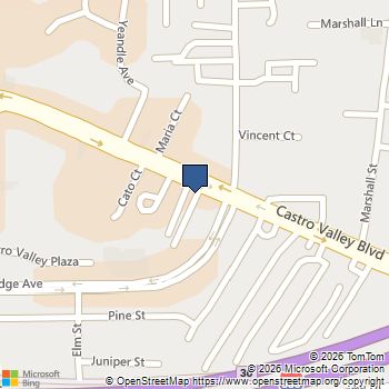 3775 Castro Valley Boulevard Castro Valley, CA MLS# ML82024525