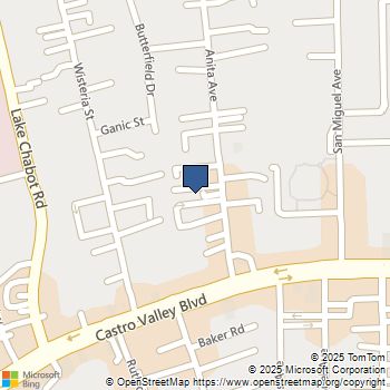 20393 Anita Ave Castro Valley, CA MLS# 41029291