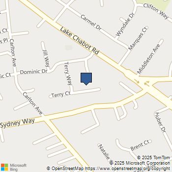 3176 Terry Ct Castro Valley, CA MLS# 41116629