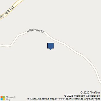 5222 dOGTOWN Coulterville, CA MLS# MP25215981