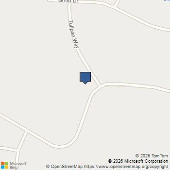10357 Tulipan Coulterville, CA MLS# MC26119702