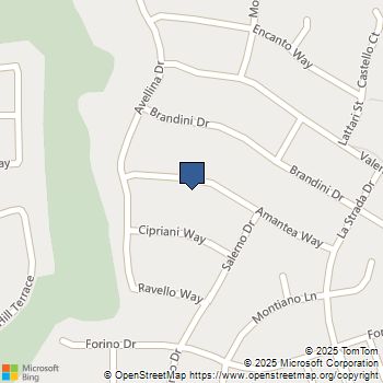 2528 AMANTEA WAY Dublin, CA MLS# 41111871