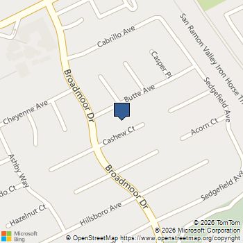 515 Cashew Court San Ramon, CA MLS# ML82037067