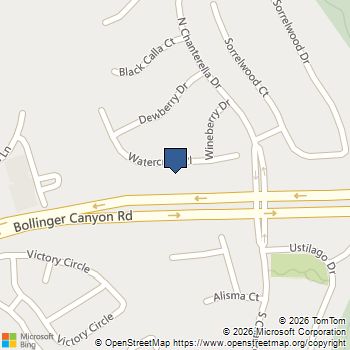 2133 Watercress Pl San Ramon, CA MLS# 41120179