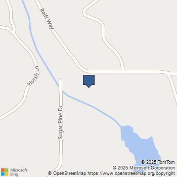 5990 Sugar Pine Drive Coulterville, CA MLS# MC25146727