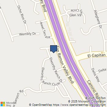 110 Elworthy Ranch Dr Danville, CA MLS# 41100179