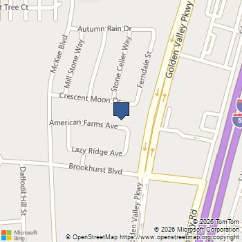 233 American Farms Avenue Lathrop, CA MLS# ML82041046