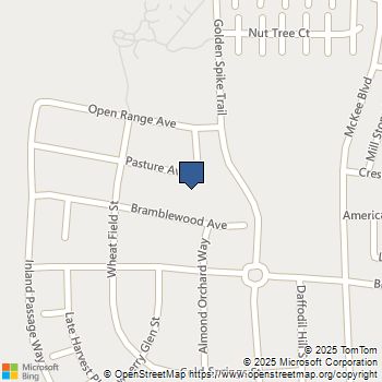 582 Pasture Ave Lathrop, CA MLS# 41102617