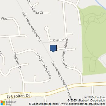 17 Canary Ct Danville, CA MLS# 41097364