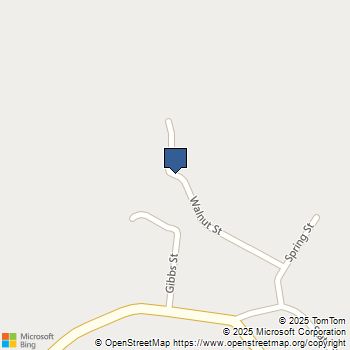 64 Spring Street Hazel Green, KY MLS# 25012177