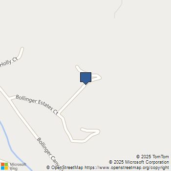 315 Bollinger Estates Ct San Ramon, CA MLS# 41098945