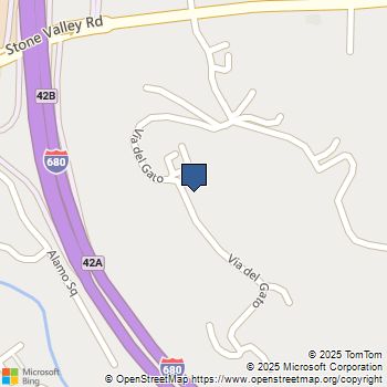 1021 Via Del Gato Alamo, CA MLS# 41092393