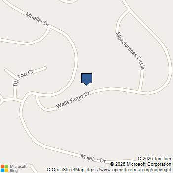 12944 Wells Fargo Dr Groveland, CA MLS# 41085406