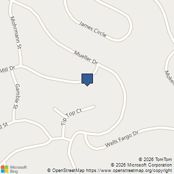 13187 Jackson Mill Dr Groveland, CA MLS# 41135013