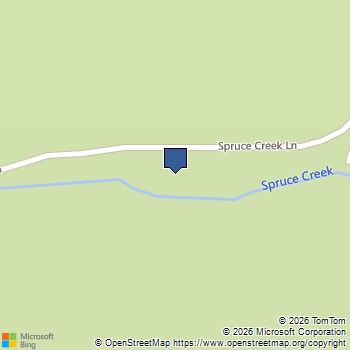 1509 SPRUCE CREEK LN Nellysford, VA MLS# 682826