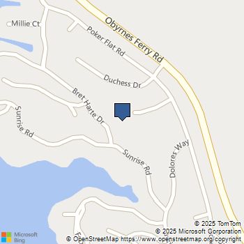 490 Bret Harte Dr Copperopolis, CA MLS# 41113814